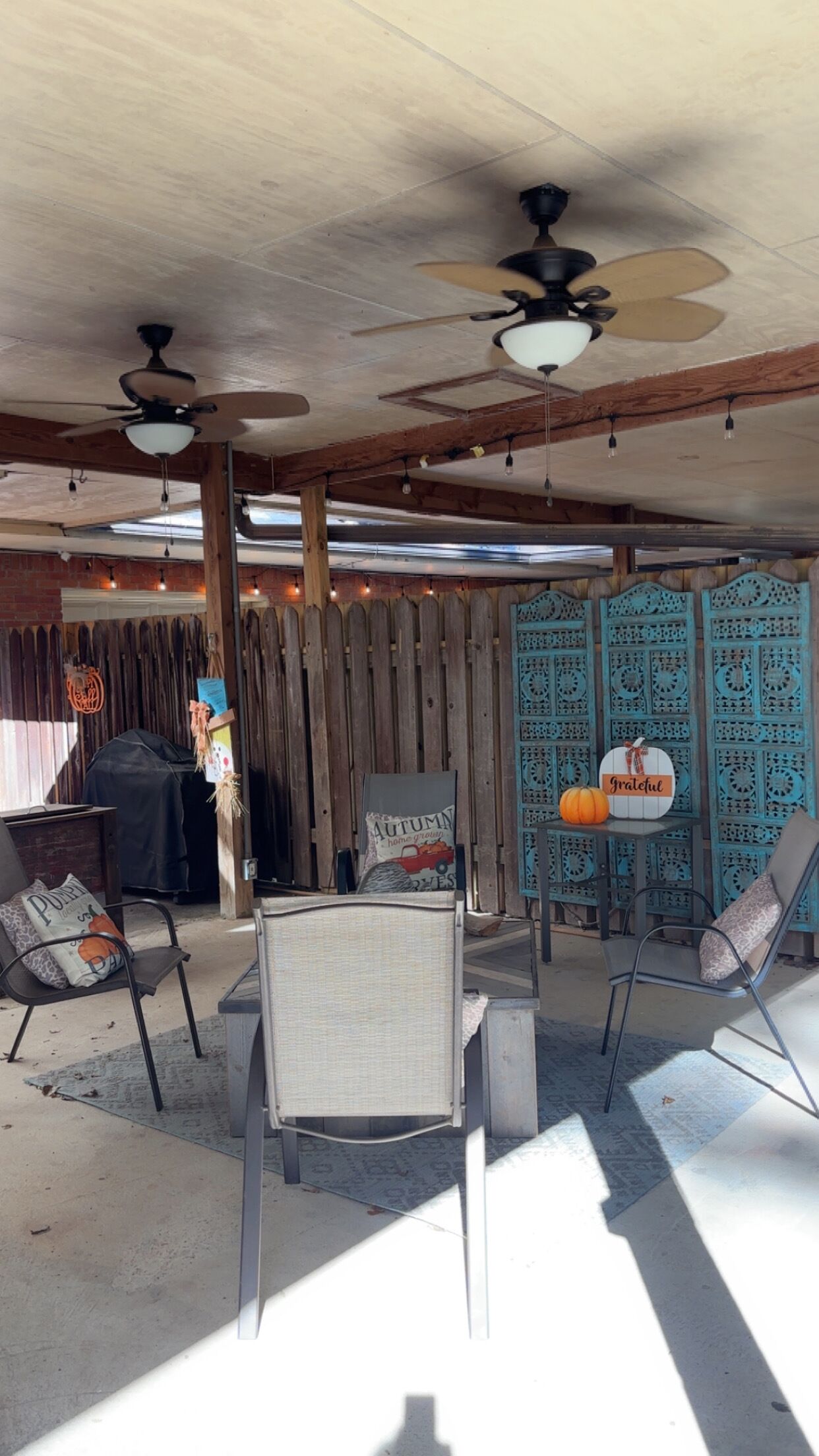 テラス / パティオ