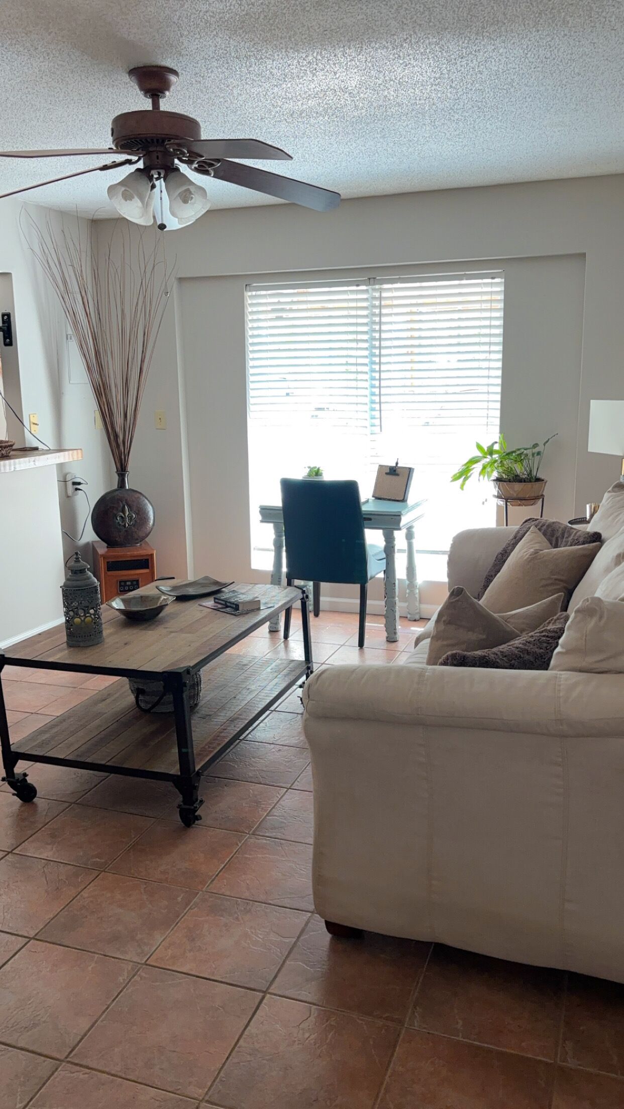 Smart TV, fireplace, DVD player, books