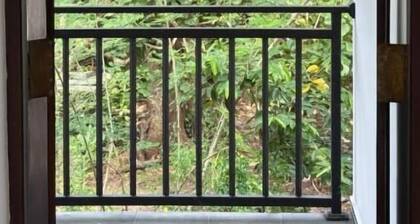 Casa Serendib Weligama