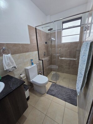 Haartrockner, Bidet, Handtücher, Seife