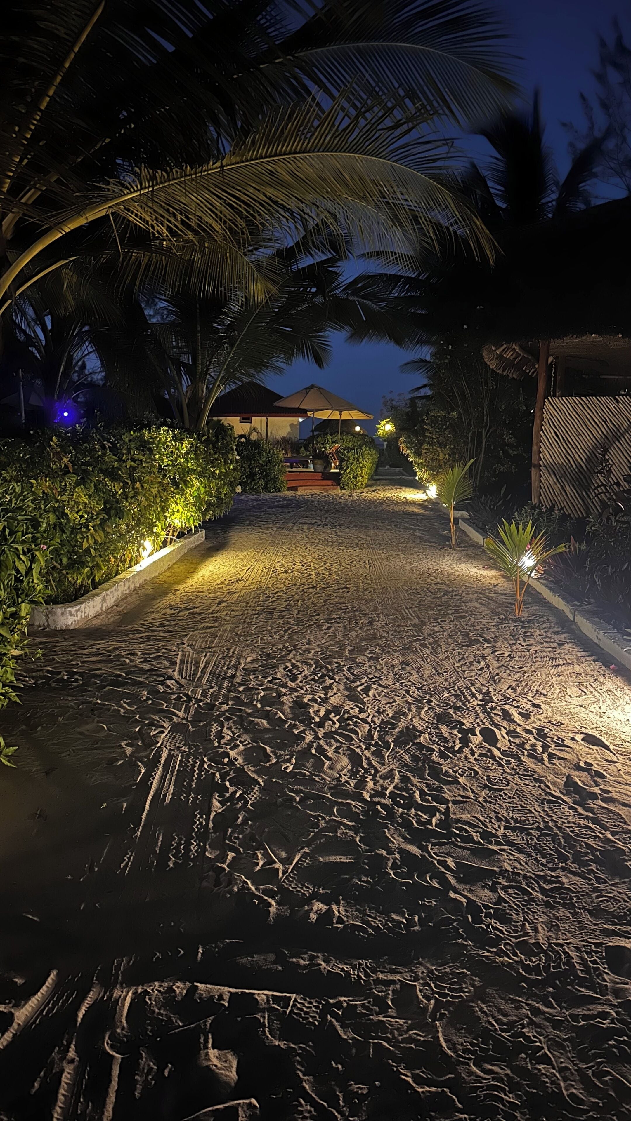 Outdoor wedding area