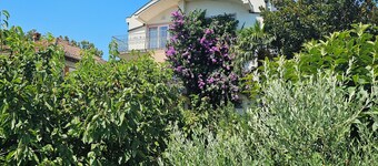 Apartment in excellent location by the river Neretva in center of Čapljina