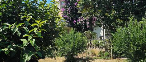 Área da propriedade