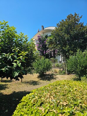 Área da propriedade