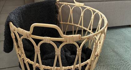 FeWo Rebennah | modern | Küche | seperater Eingang | ruhige Lage | Mosel | Eifel