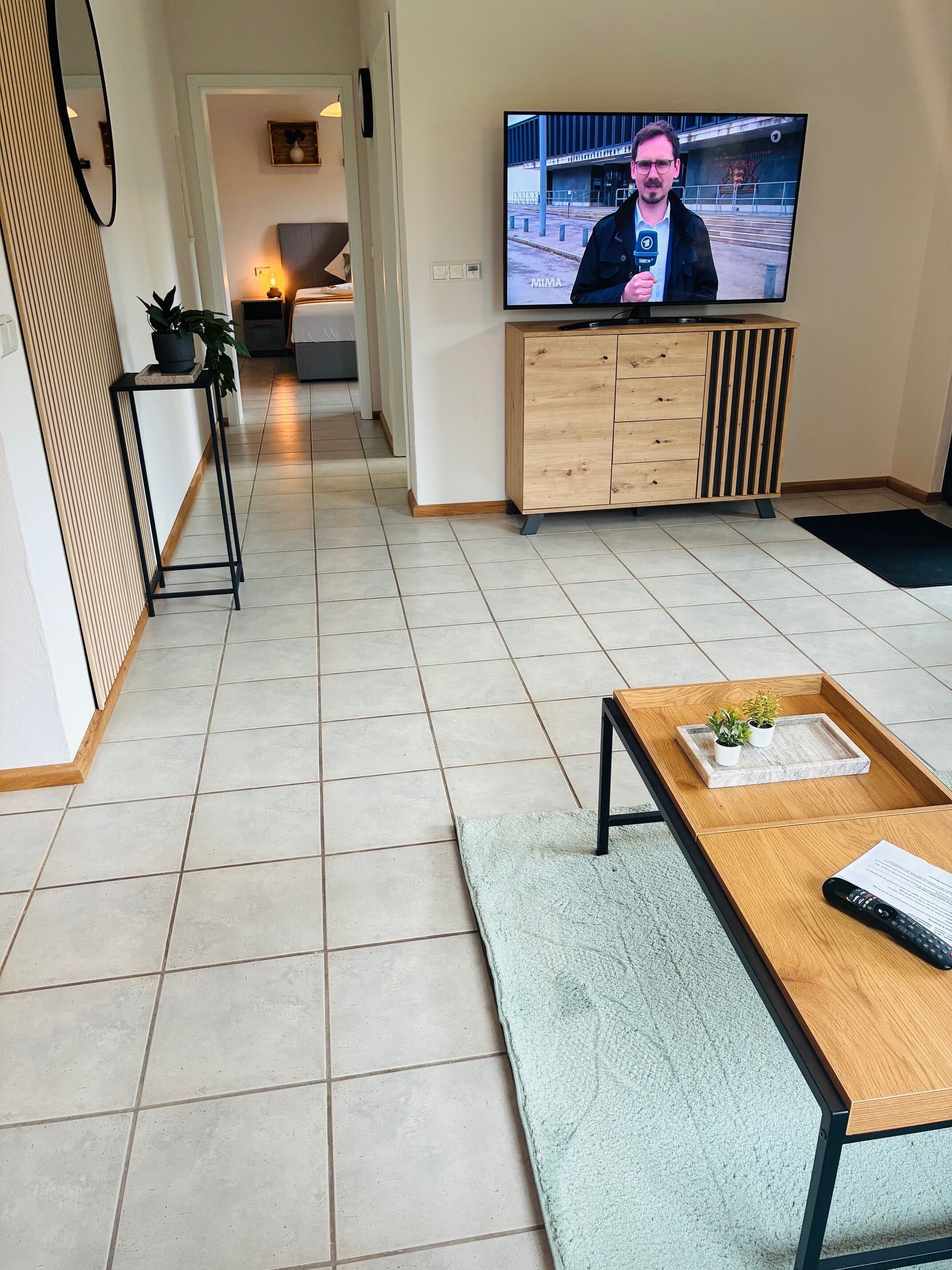 A modern living room with a television, a wooden coffee table, a small rug, and a potted plant.