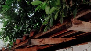 Une terrasse extérieure agrémentée d’une pergola en bois, d’une table dressée pour deux personnes avec des chaises, de plantes en pot et de guirlandes lumineuses.