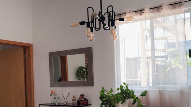 Un coin repas avec une table en bois, des chaises blanches, un luminaire suspendu et une plante en pot.