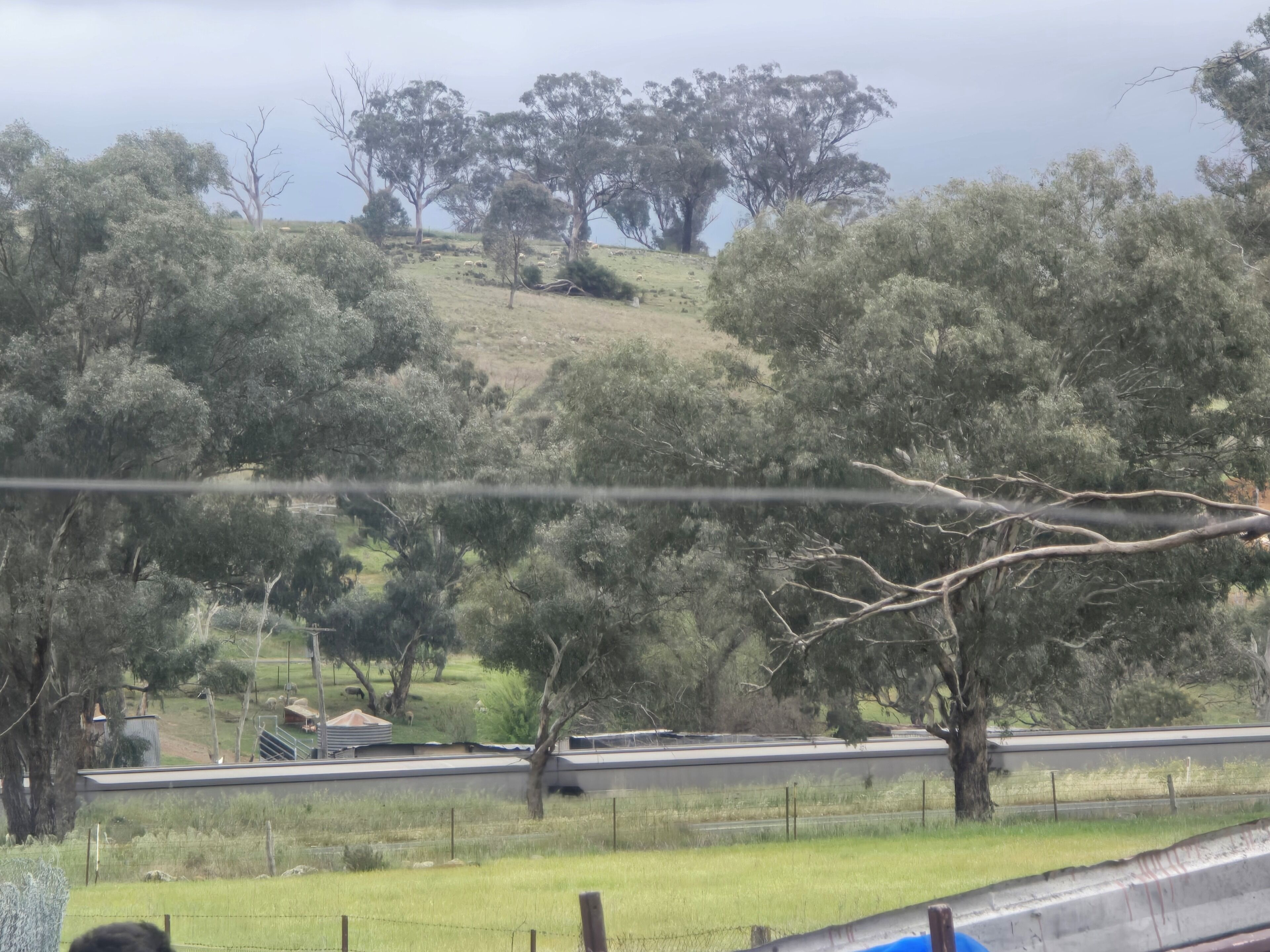Paisagem rural com árvores, cerca e um edifício com telhado plano.
