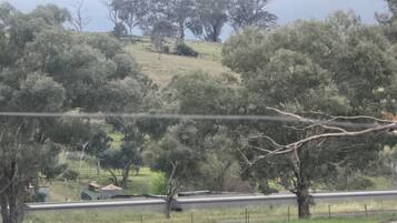Paisagem rural com árvores, cerca e um edifício com telhado plano.
