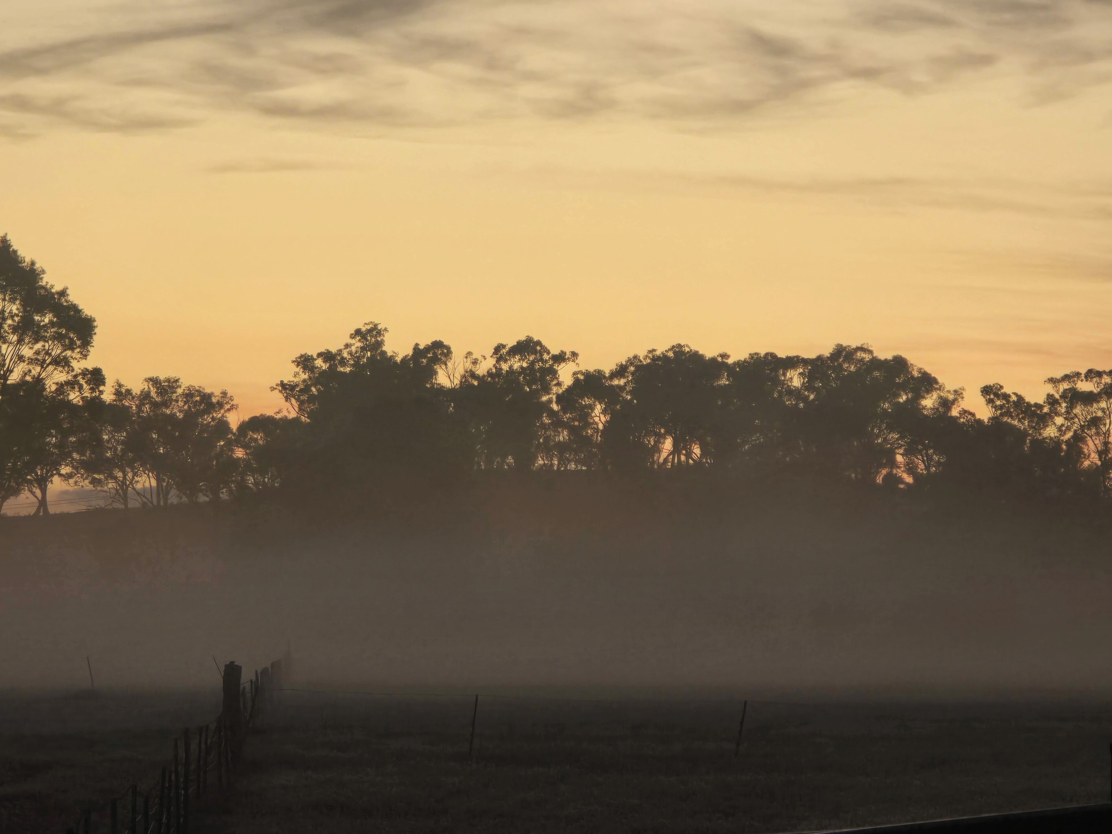 Eine neblige Landschaft mit einem Zaun und Bäumen, die vor einem Sonnenuntergangshimmel silhouettiert sind.