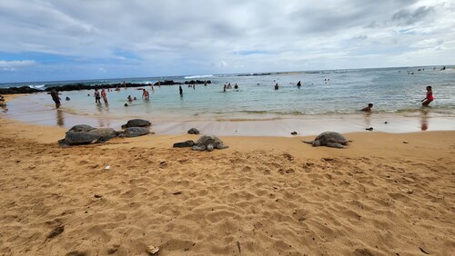 KP317-Private-3rdFl-Partial Ocean-Pool-Garden