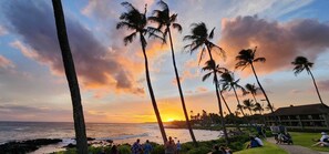 Solsenger og strandhåndklær