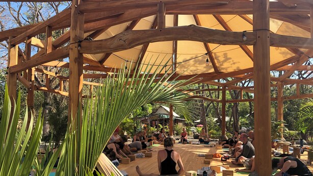 Ein hölzernes Pavillon mit einem Reetdach, umgeben von Palmen und Grünpflanzen.