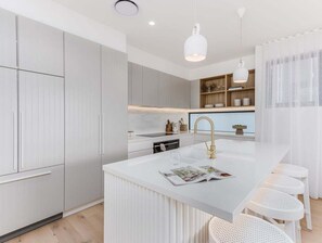 Fridge, oven, stovetop, dishwasher