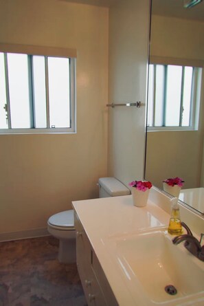 Serviettes fournies, savon, papier toilette