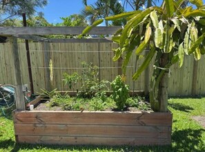 Property grounds - Hook Wine and Sinker (Gympie)