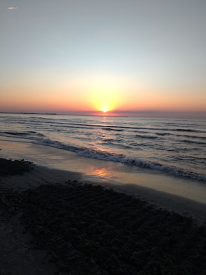 Căn hộ, 1 phòng ngủ, phù hợp cho người khuyết tật, hút thuốc | Bãi biển