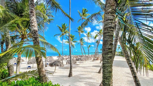 A beach with palm trees and thatched umbrellas. - STUDIOS ROOFTOP POOL & BEACH (Punta Cana)