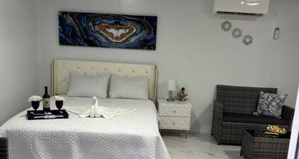 Tampa Dream Getaway "B