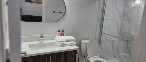 Hair dryer, towels, soap, toilet paper