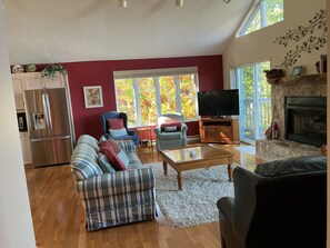 Smart TV, fireplace, books