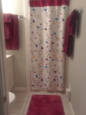 Hair dryer, towels, soap, toilet paper - Charming 1-bedroom cottage with AC in beautiful Pensacola (Pensacola)