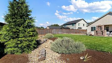 A residential area with a large coniferous tree, a wooden fence, and a well-maintained lawn.