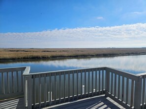 Property grounds - Waterfront Fishing Camp in Port Sulphur – Private Dock, Scenic Marsh Overlook (Port Sulphur)