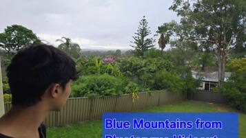 Vista a la montaña