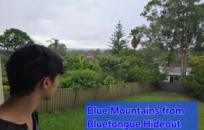 山景