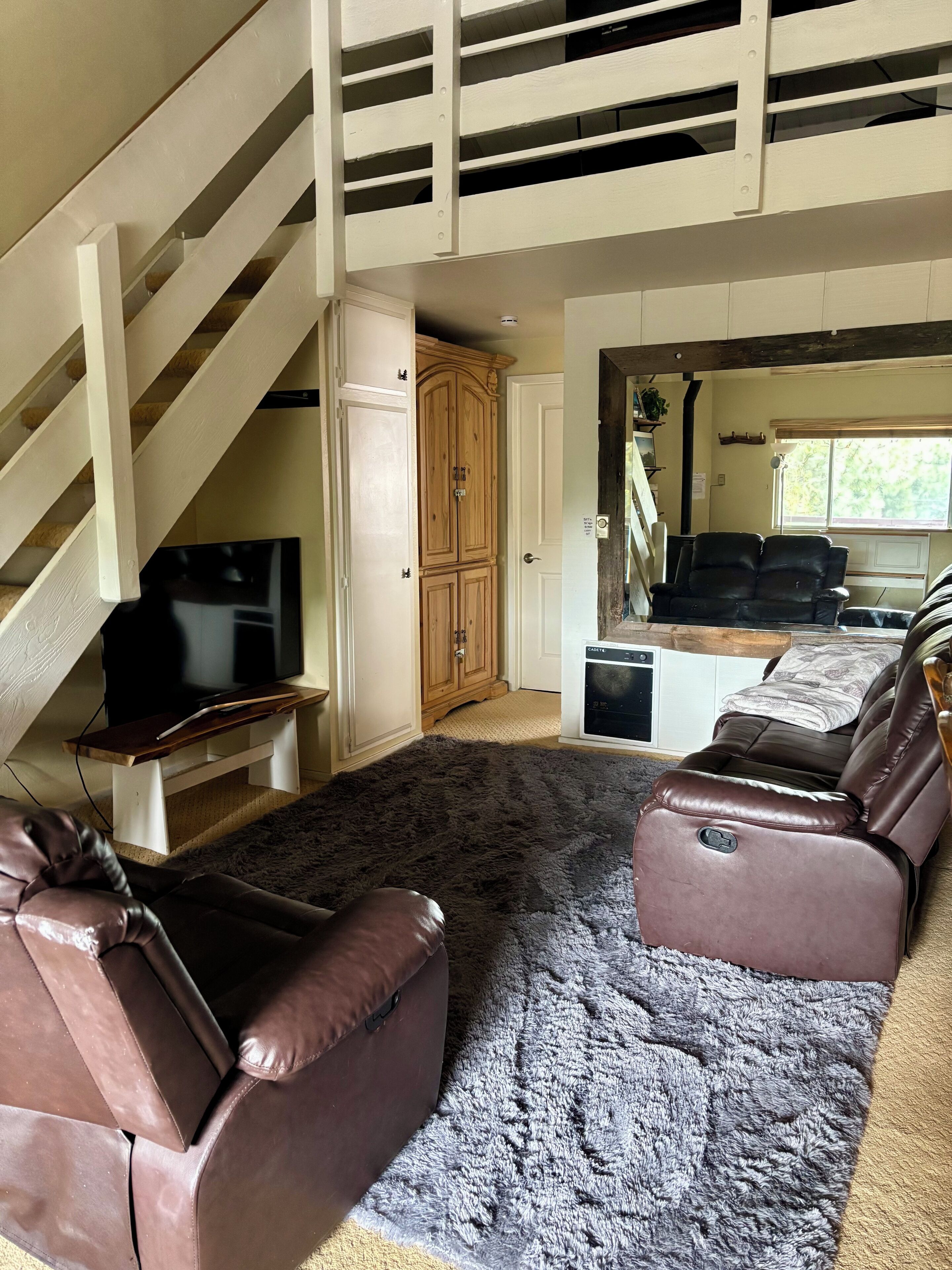 Smart TV, fireplace, books