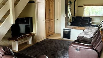 TV connectée, cheminée, livres
