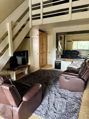 Smart TV, chimenea y libros