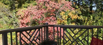 Treehouse on the Lake