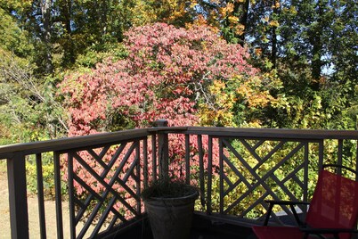 Treehouse on the Lake