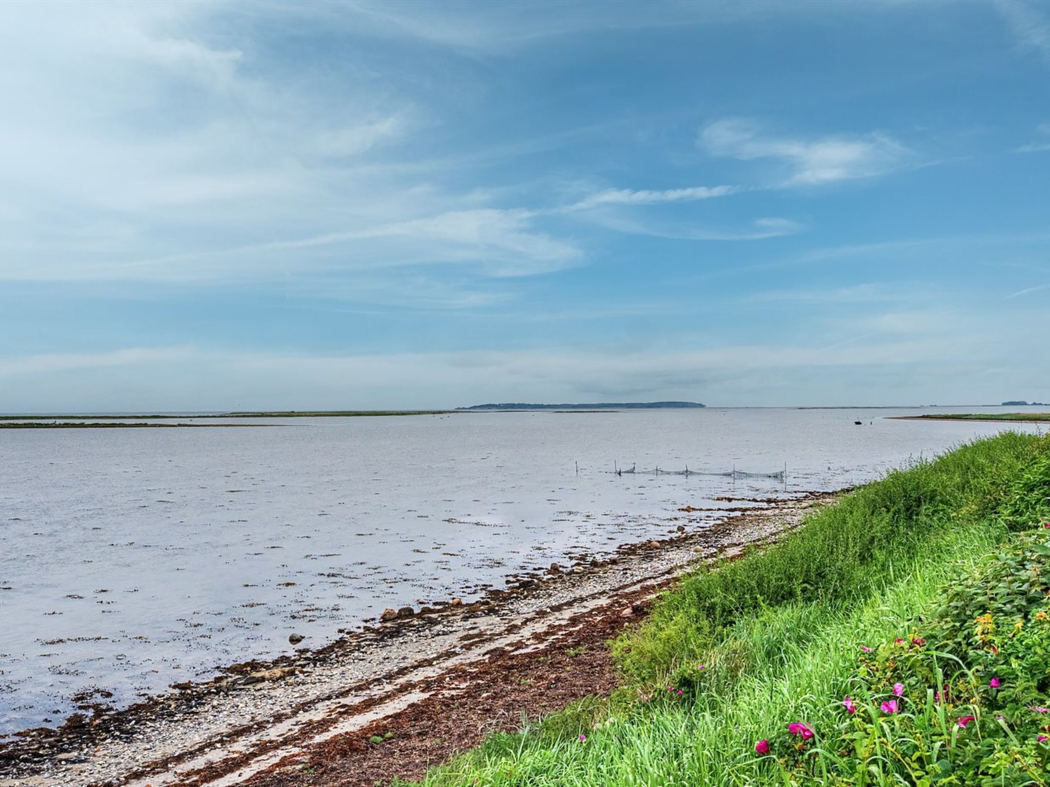 Un paysage côtier avec une vaste plage de sable, une zone herbeuse parsemée de fleurs et une mer calme sous un ciel dégagé.