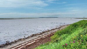 A coastal landscape with a wide sandy beach, a grassy area with flowers, and a calm sea under a clear sky.