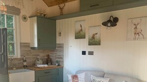 Una cucina accogliente con un tavolo di legno, un divano grigio con cuscini a tema animalier e un armadietto verde.