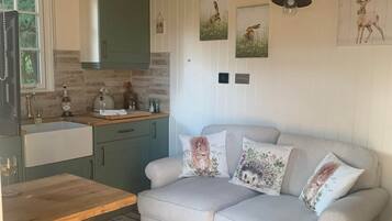 Télévision, cheminée, lecteur de DVD, chaßne hi-fi