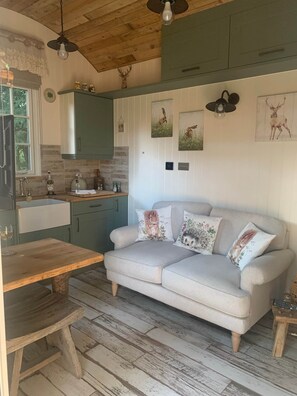 Televisio, takka, DVD-soitin, stereot