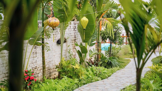 A pathway surrounded by lush greenery and a white brick wall.