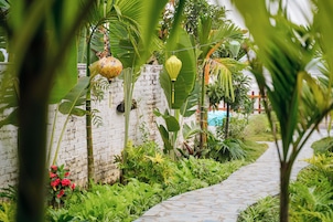 Vistas al jardín