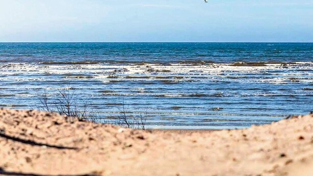 Ein Strand mit Wellen, ein Vogel am Himmel und ein klarer Horizont.