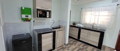 Una cocina compacta con refrigerador, microondas y pileta.