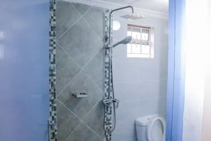 Une salle de bain avec une douche, des toilettes et une petite fenêtre.