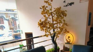 A modern living room with a dark blue sofa, a wooden coffee table, and a blue armchair. There is a decorative tree with yellow leaves and a wall-mounted light fixture. - Hotel Prince Palace (Ayodhya)