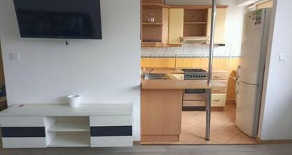 Pleasant 2-bedroom apartment in Konin