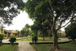 Property grounds