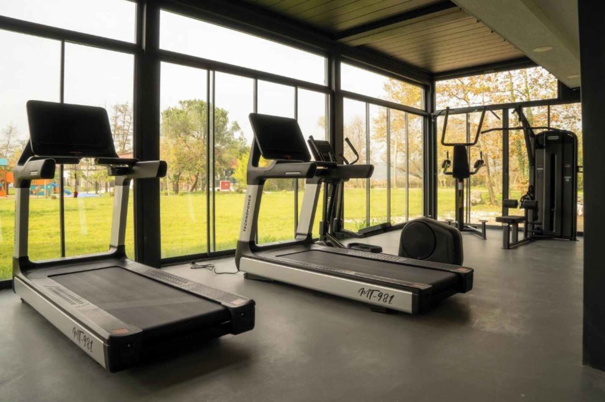 A gym with treadmills, a stationary bike, and weight machines.